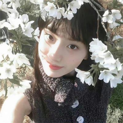 薄爷的小祖宗又A又飒