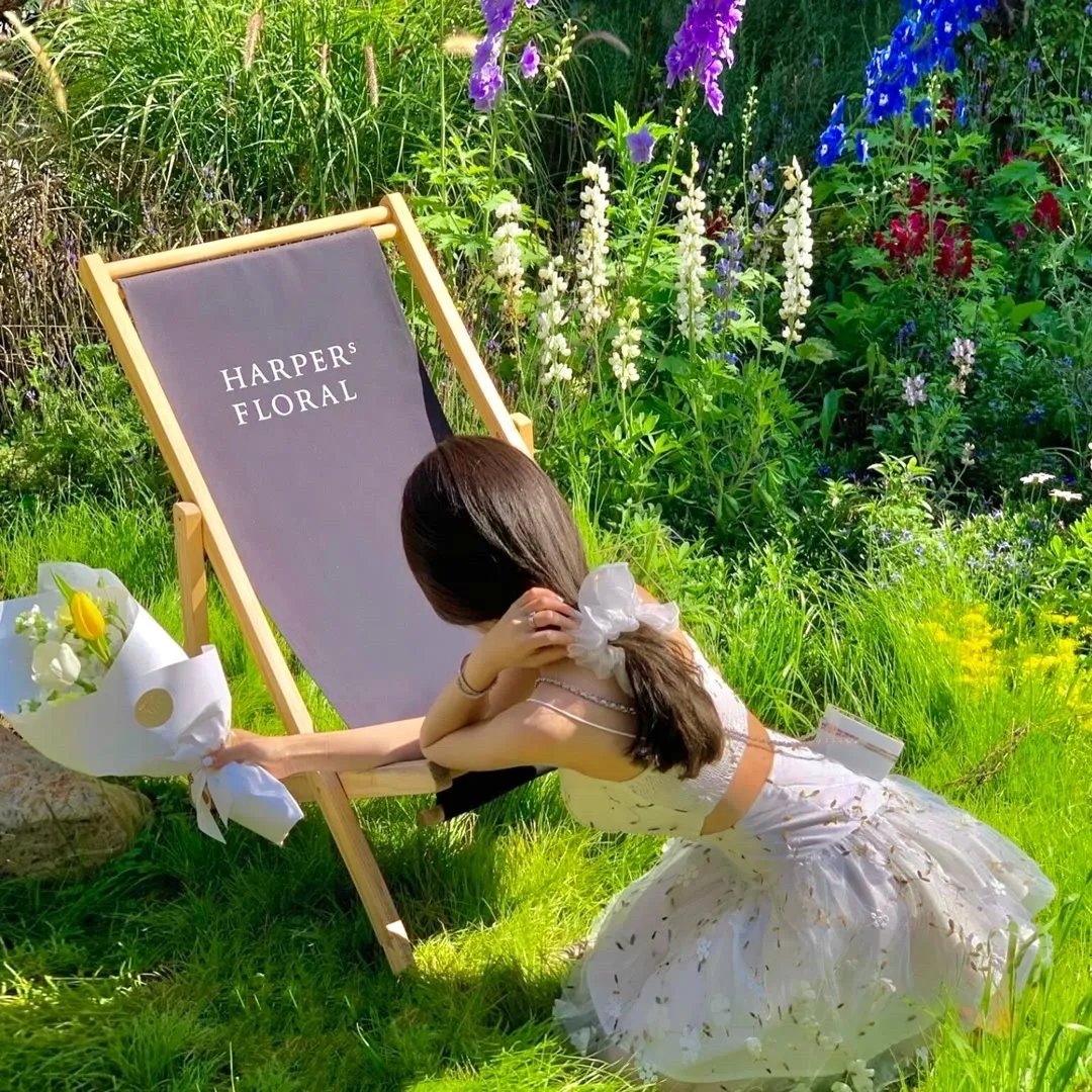 摆渡人＆我修仙多年强亿点怎么了